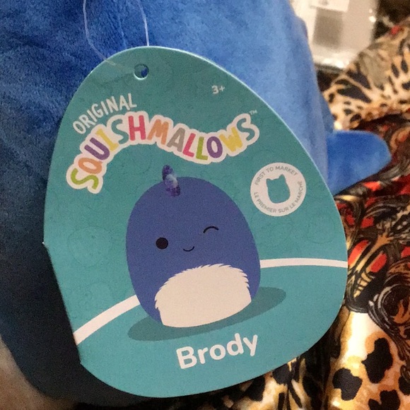 BRODY Squish date 01-17-2023. 8” - Picture 7 of 7